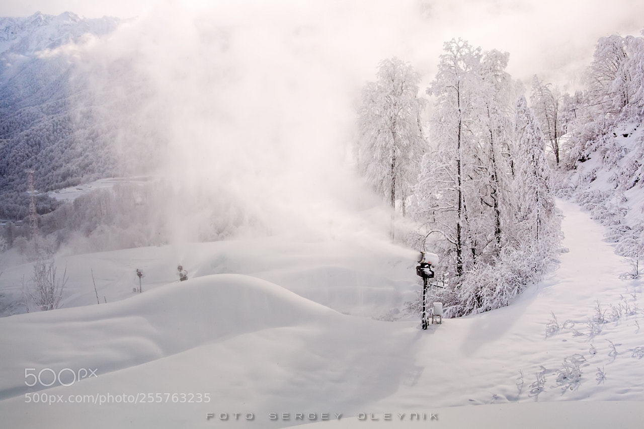 Canon EOS 5D Mark II sample photo. Winter's tale photography