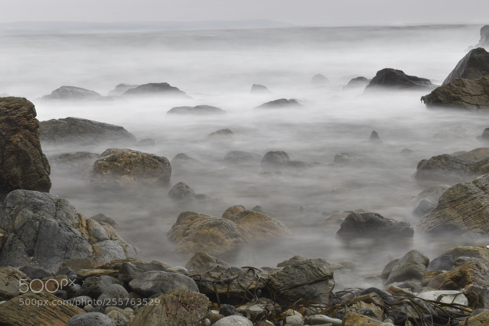 Nikon D5600 sample photo. The sea silk photography
