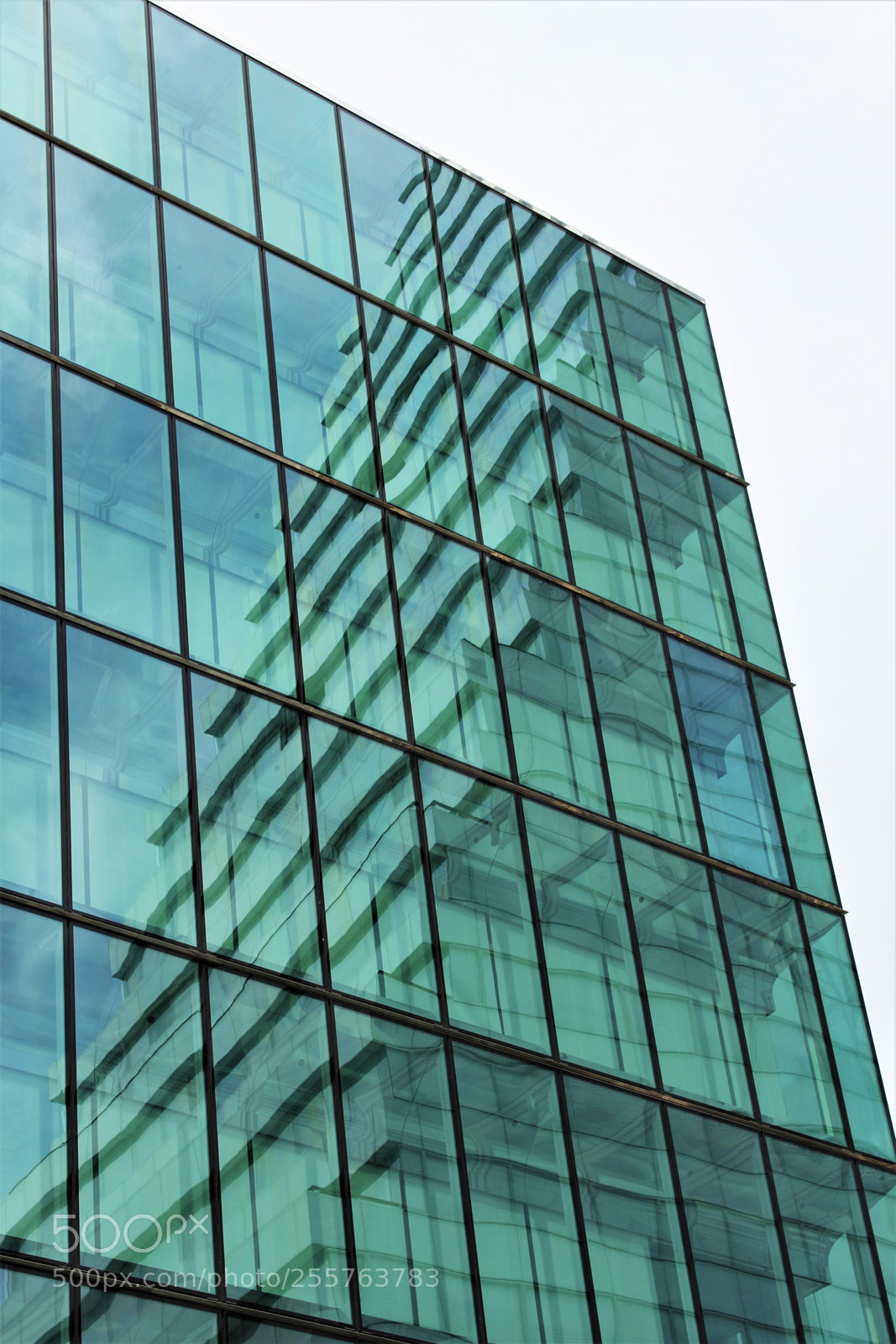Canon EOS 700D (EOS Rebel T5i / EOS Kiss X7i) sample photo. Reflections photography