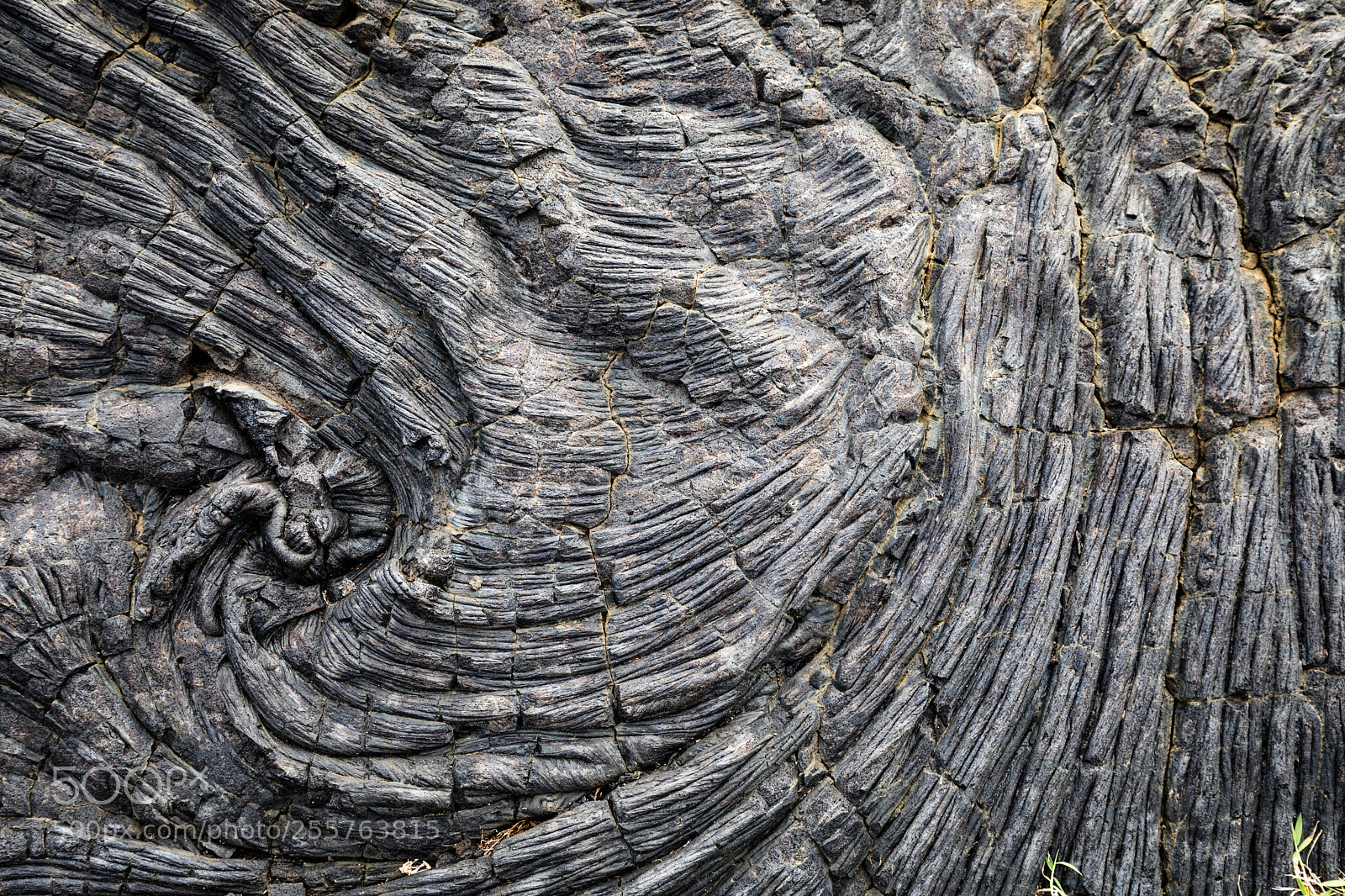 Canon EOS 5D Mark IV sample photo. Twisting lava photography