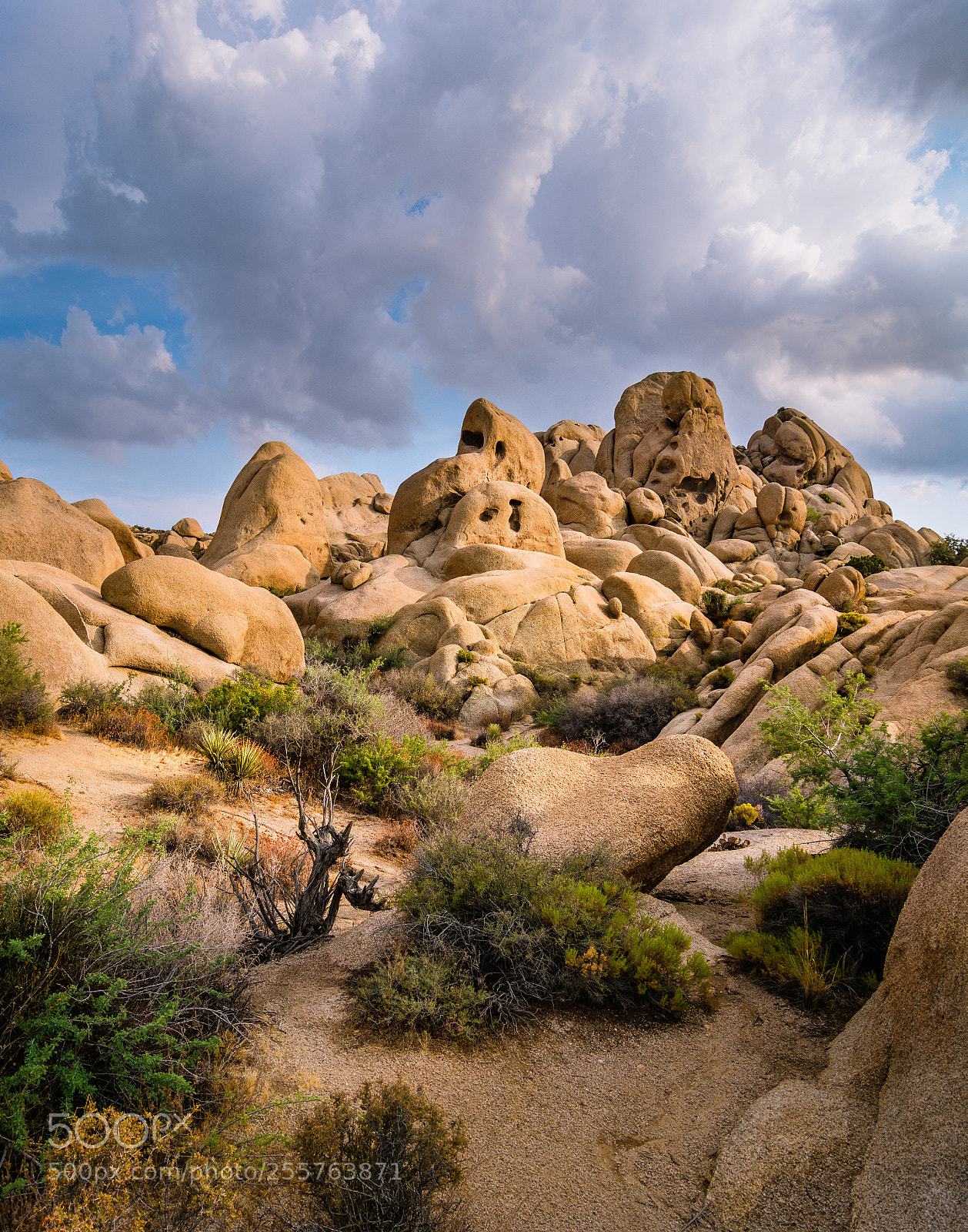 Nikon D7100 sample photo. Big boulder field photography