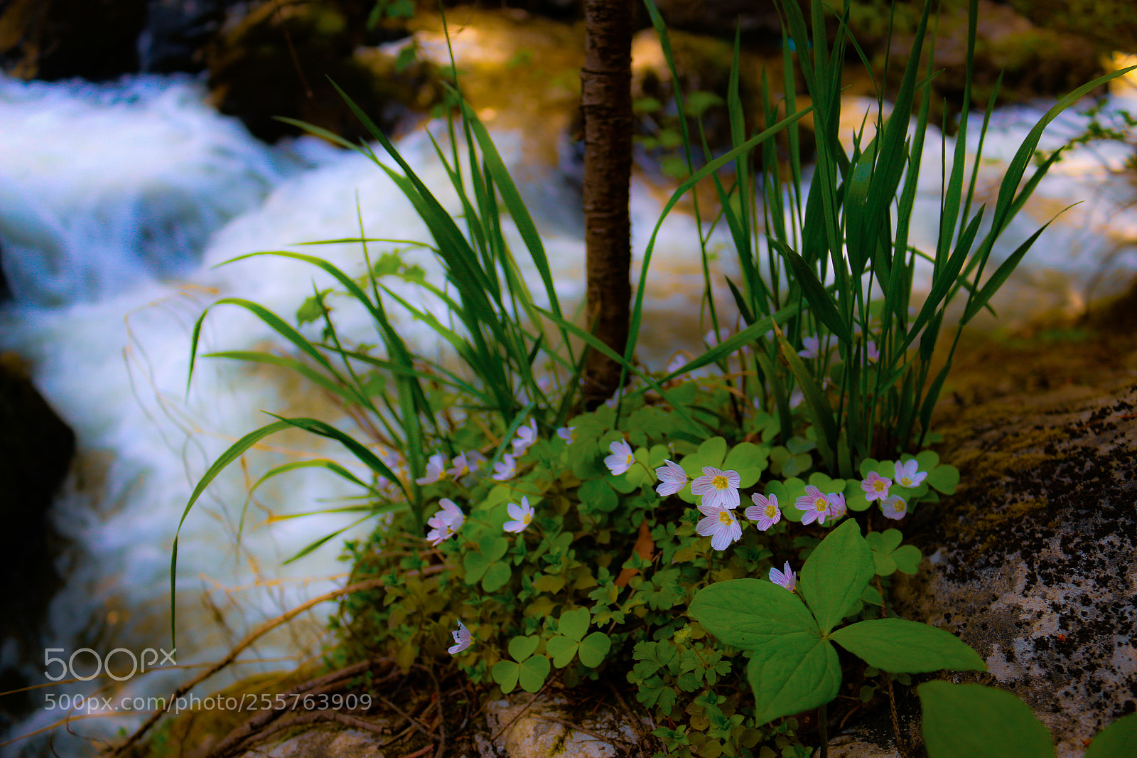 Canon EOS 70D sample photo. Untitled photography