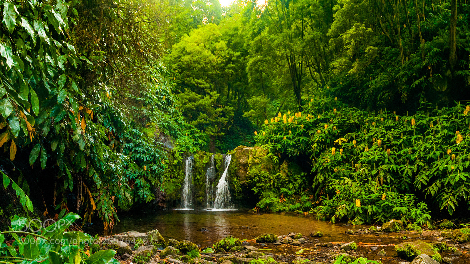 Nikon D300S sample photo. São miguel, pt photography