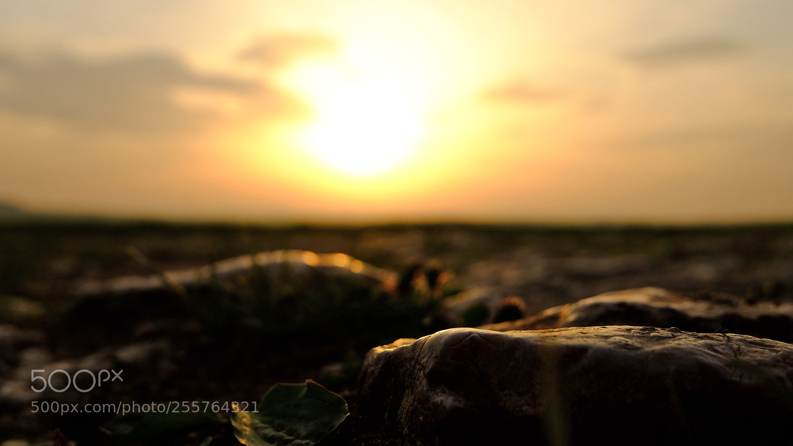 Fujifilm X70 sample photo. Morning rocks photography