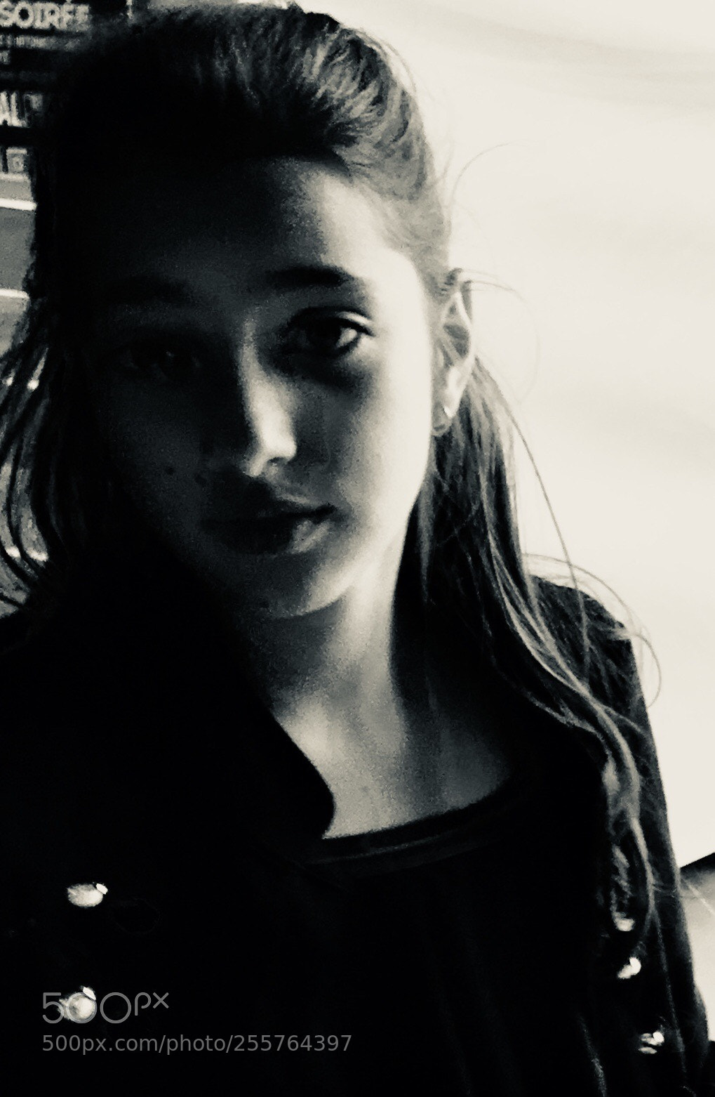 Apple iPhone 6s Plus sample photo. Untitled photography