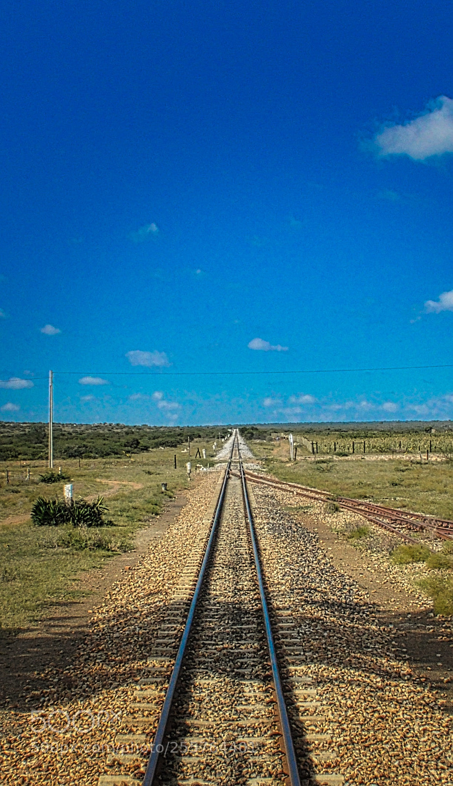 Nikon D90 sample photo. The horizon is always photography