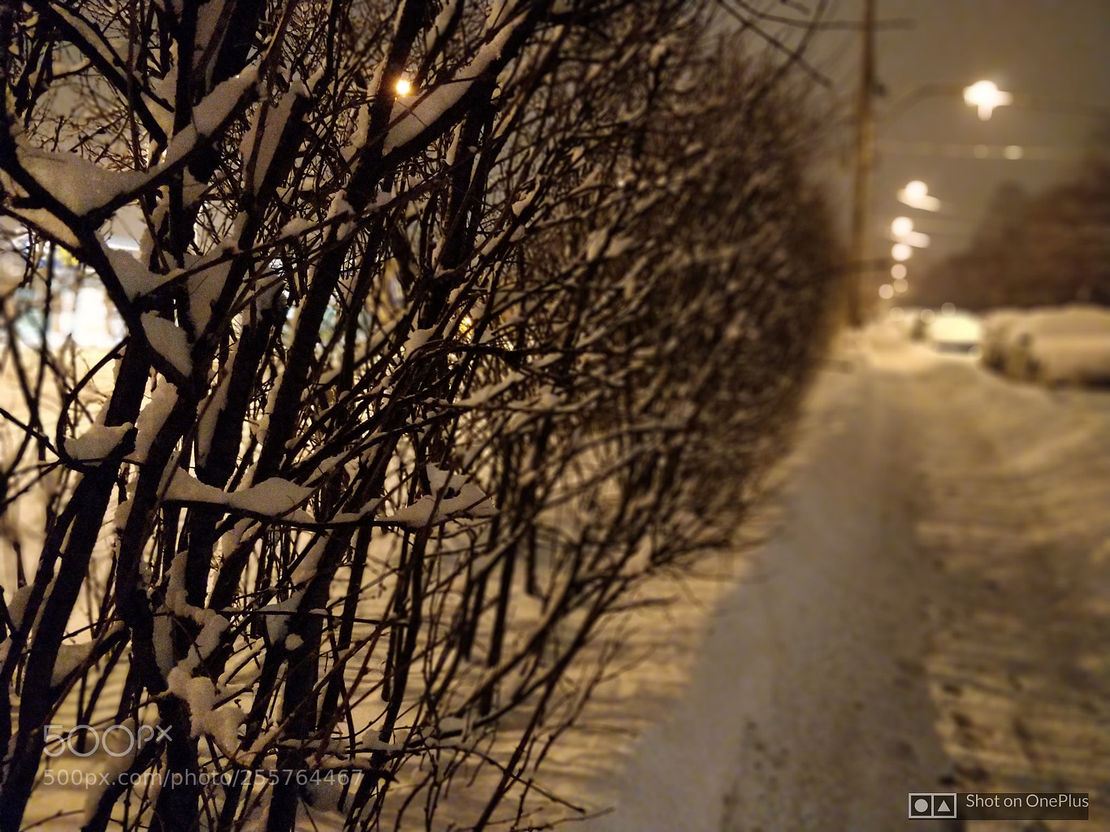 OnePlus 5T sample photo. One plus 5t photography