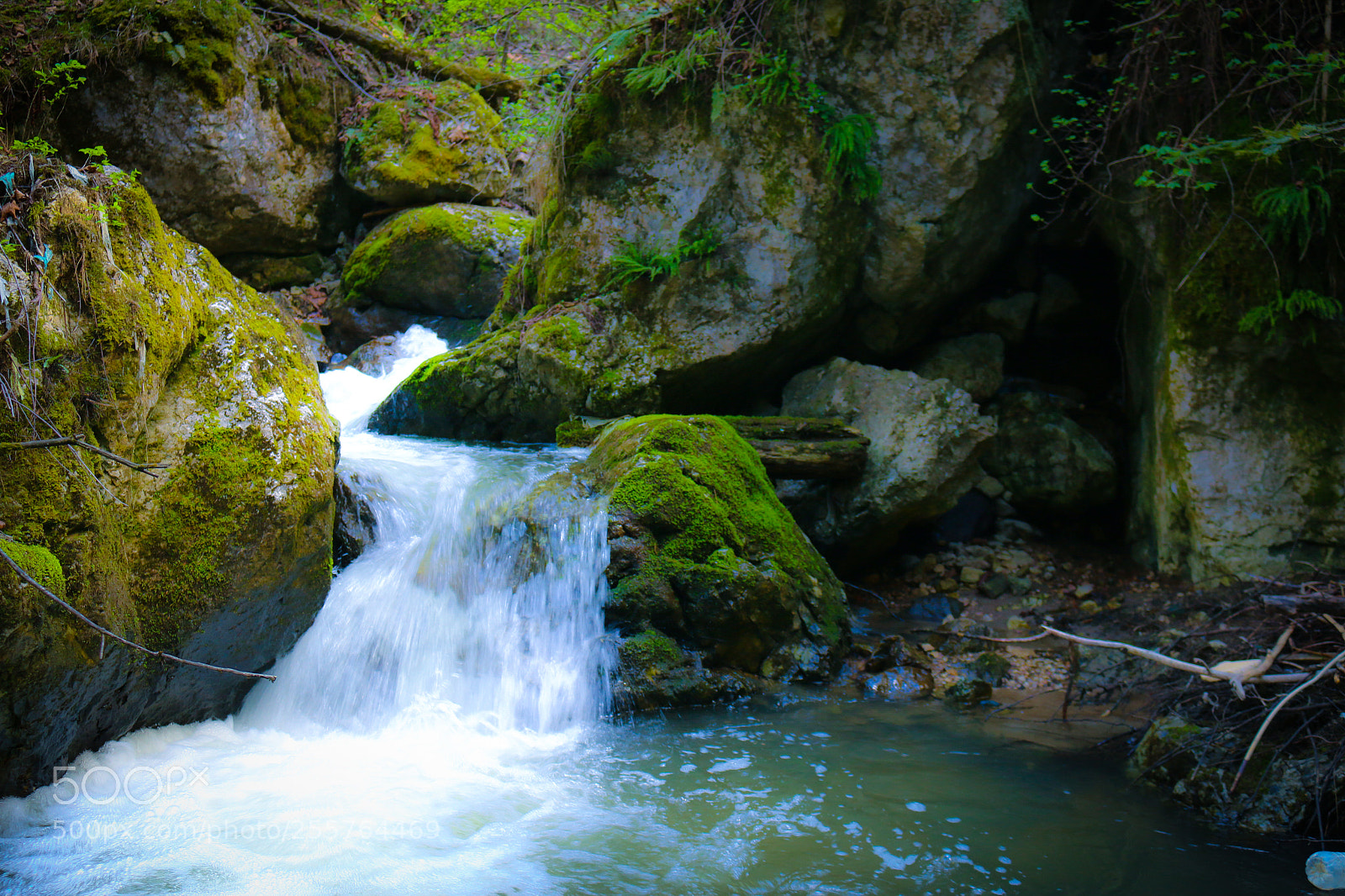Canon EOS 70D sample photo. Untitled photography
