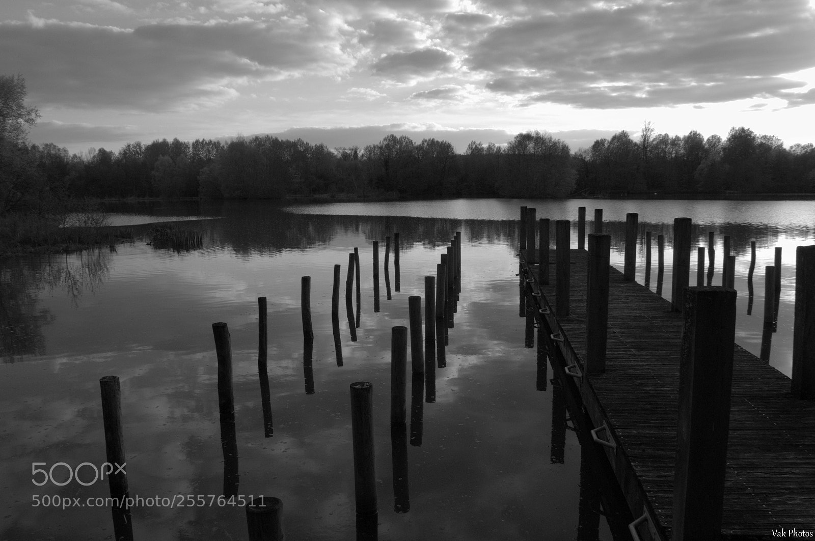 Nikon D3100 sample photo. Pond photography