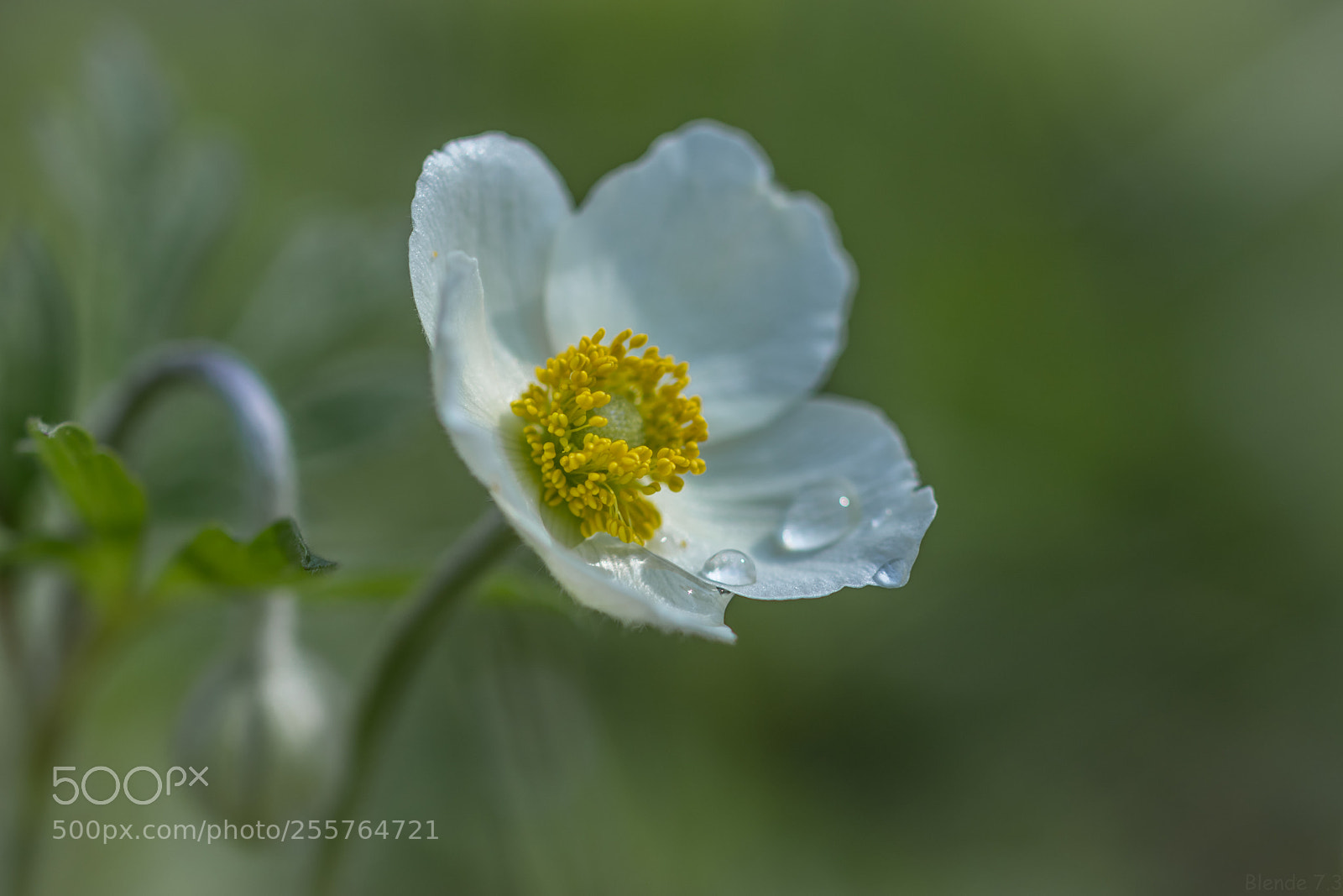 Canon EOS 80D sample photo. After the rain photography
