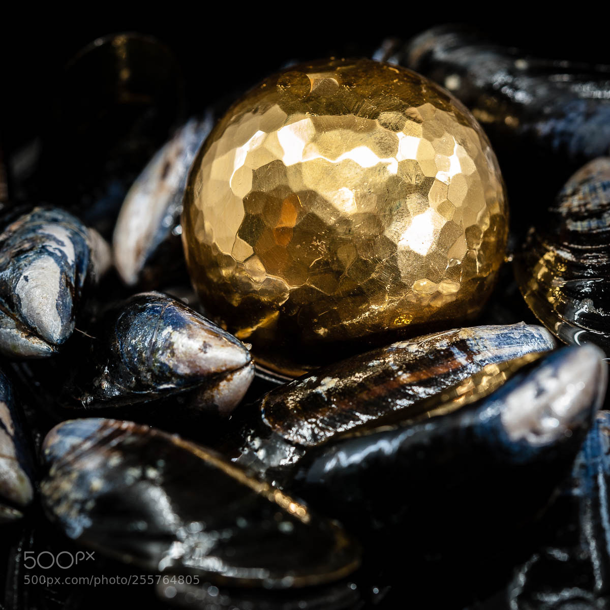Nikon D700 sample photo. Annika bertilsdotter guldsmed gold photography