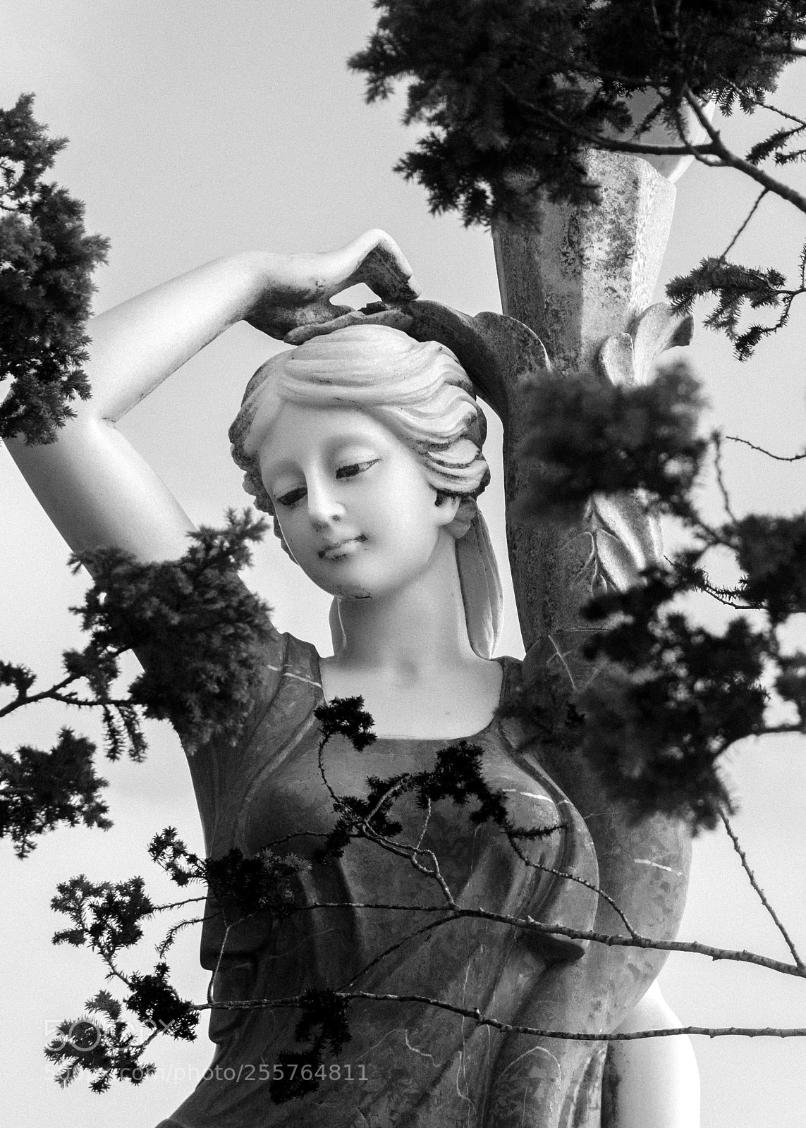 Nikon D3100 sample photo. Portrait of a statue photography