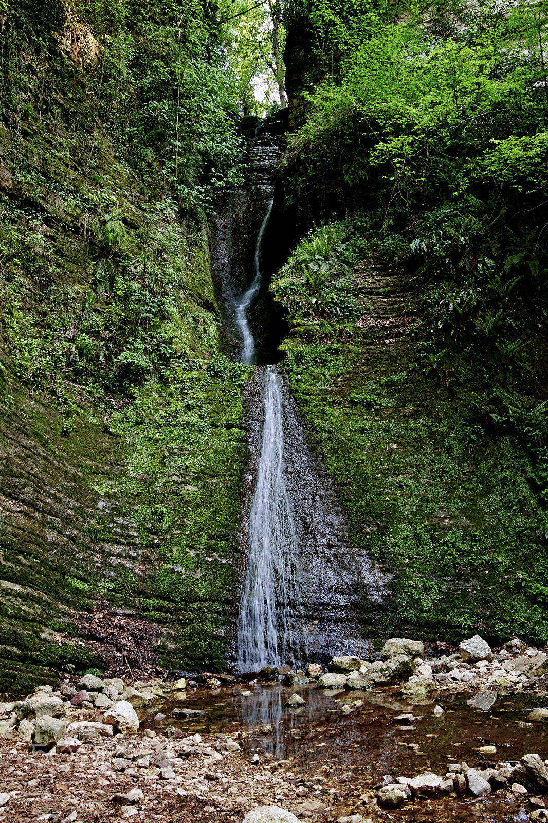 Sigma sd Quattro sample photo. Lost world scenery photography