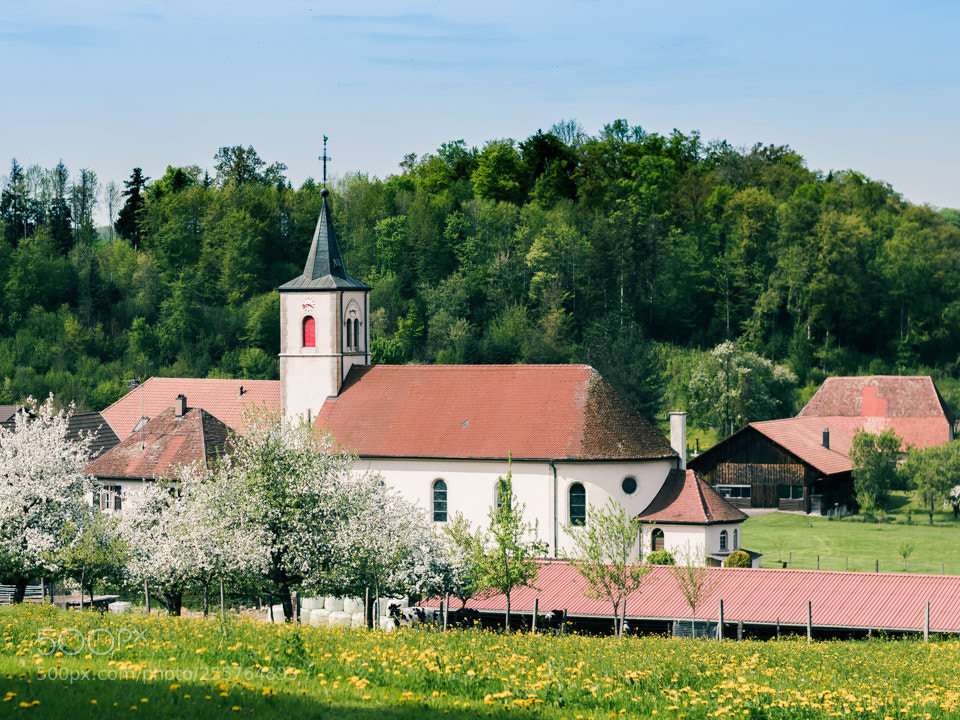 Nikon D5500 sample photo. Rocourt church photography