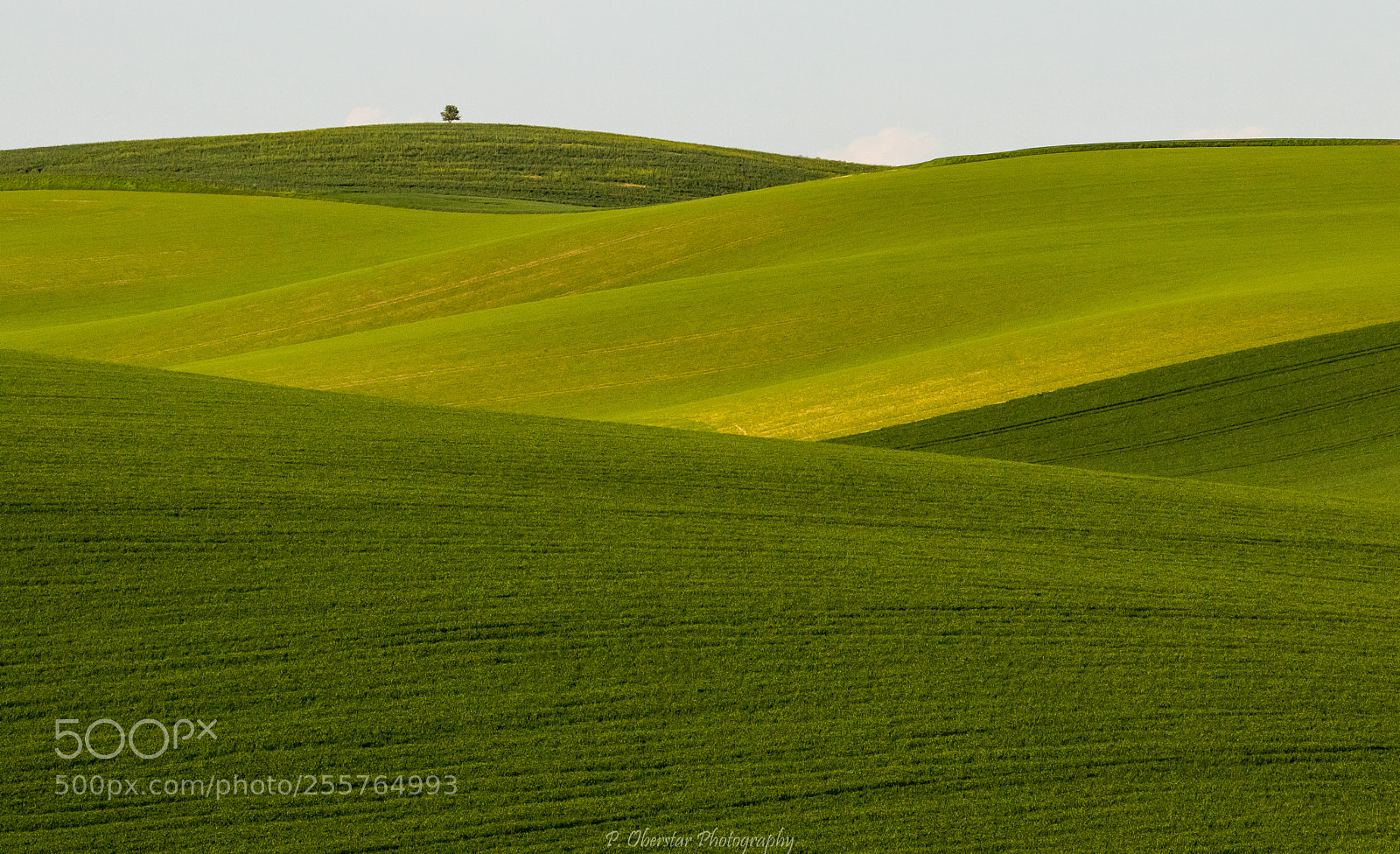 Canon EOS 80D sample photo. Moravian landscape. photography