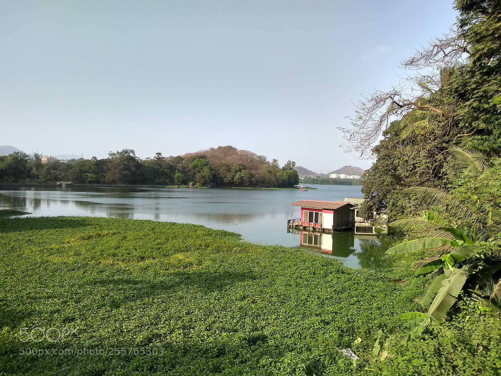 Motorola Moto G (5S) Plus sample photo. Lakeside photography