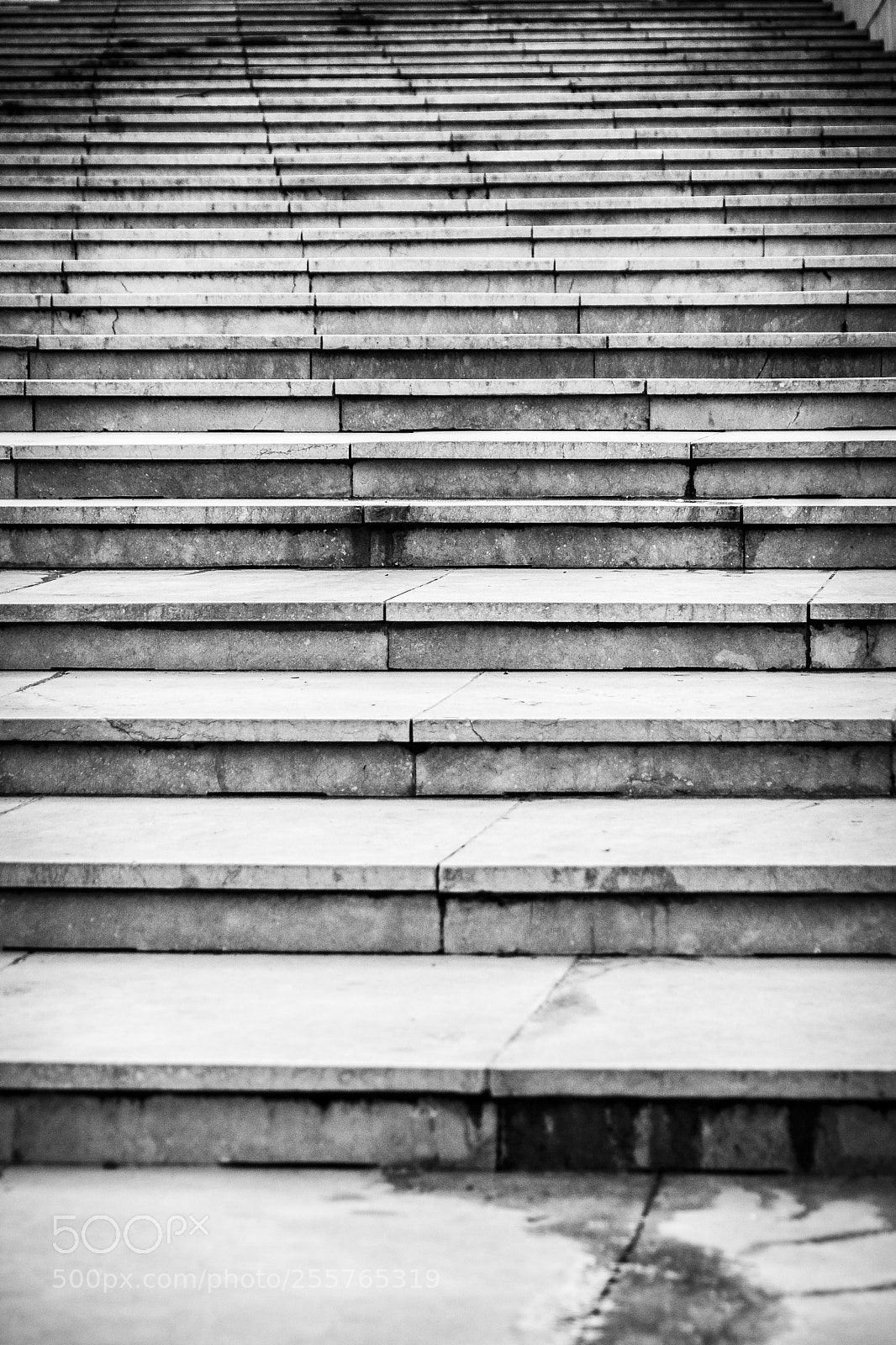 Canon EOS 60D sample photo. 26 photography