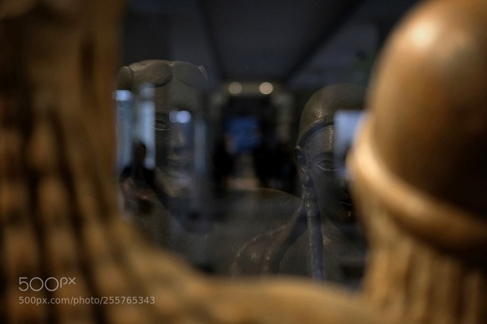 Fujifilm X-T2 sample photo. Reflections from the past photography