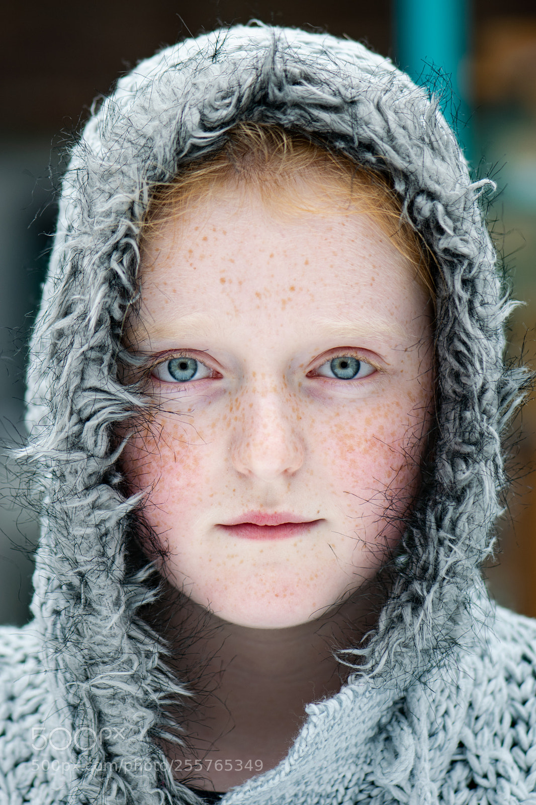 Nikon D3300 sample photo. Grey jumper photography