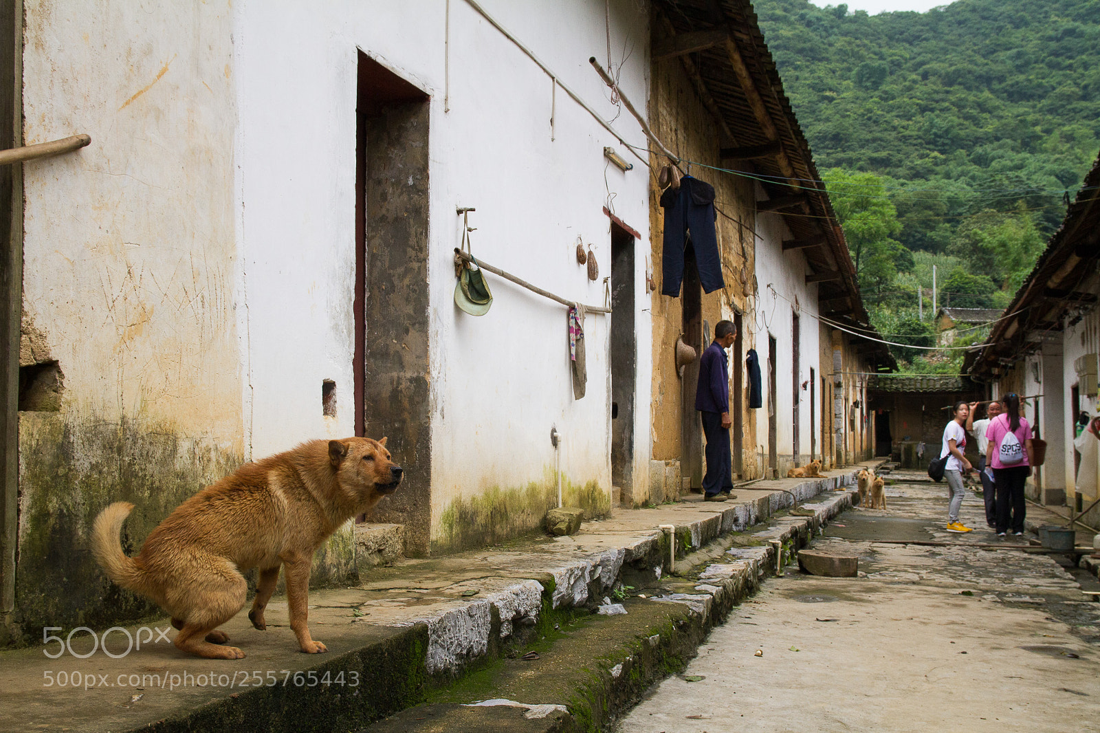 Canon EOS 7D sample photo. Yingde2015 photography