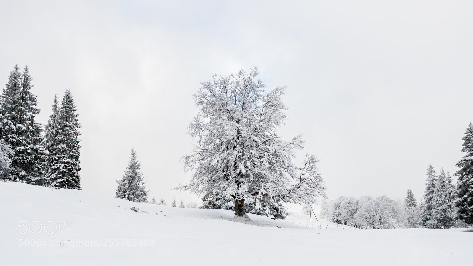 Sony Cyber-shot DSC-RX100 IV sample photo. Dent de vaulion, ch photography