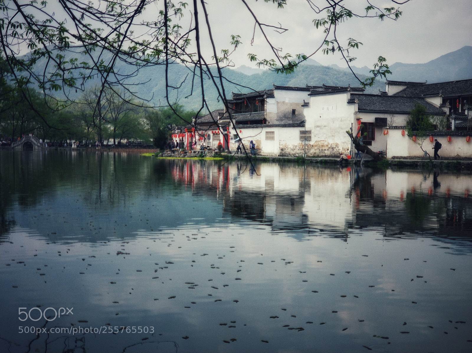 Xiaomi MI6 sample photo. Hongcun photography