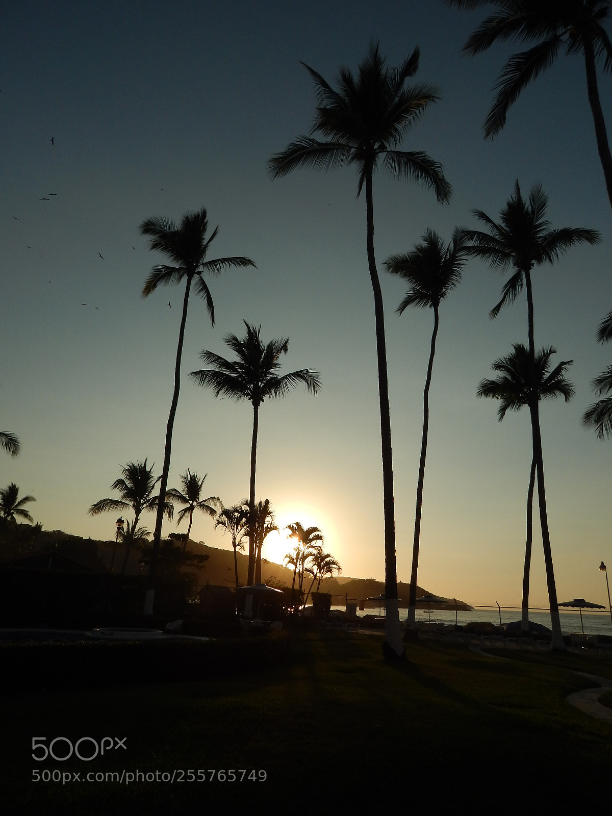 Nikon Coolpix L820 sample photo. Tocando el cielo photography