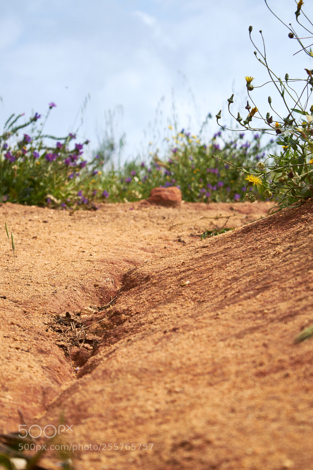 Nikon D5300 sample photo. Albufeira photography