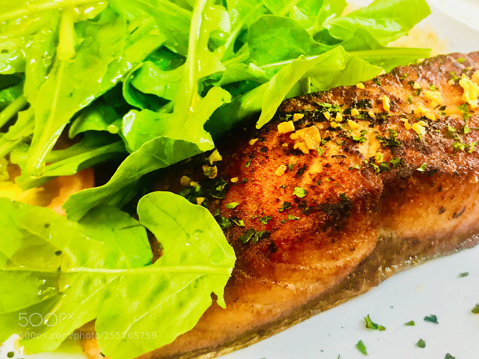 Apple iPhone 7 Plus sample photo. Grilled salmon photography