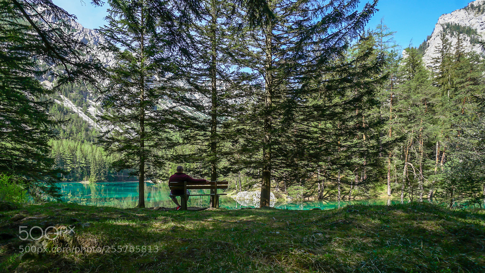 Sony a7R II sample photo. Beim rasten photography