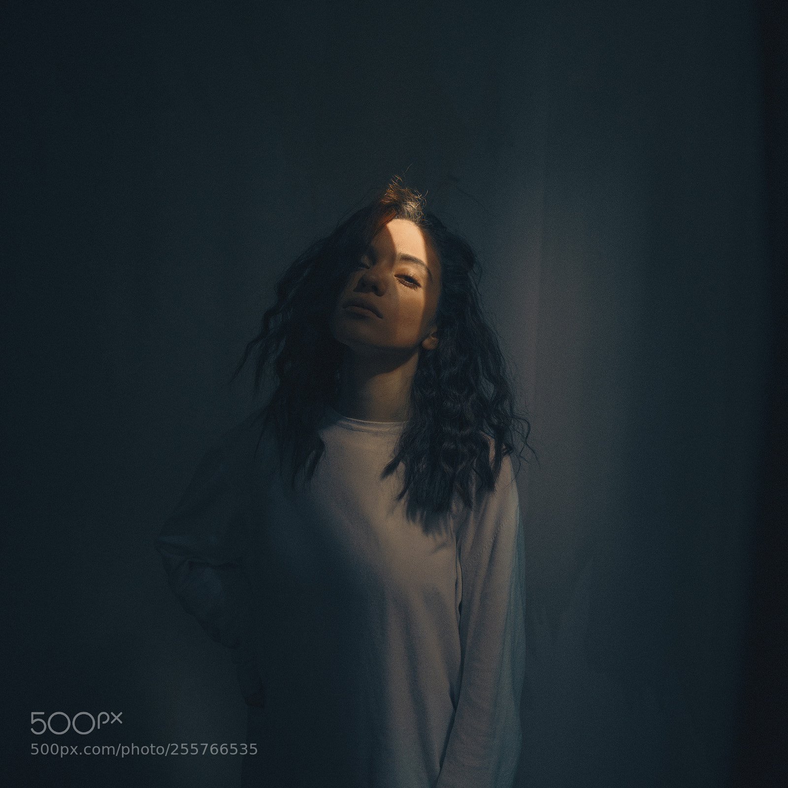 Sony a7R II sample photo. Sunshine photography