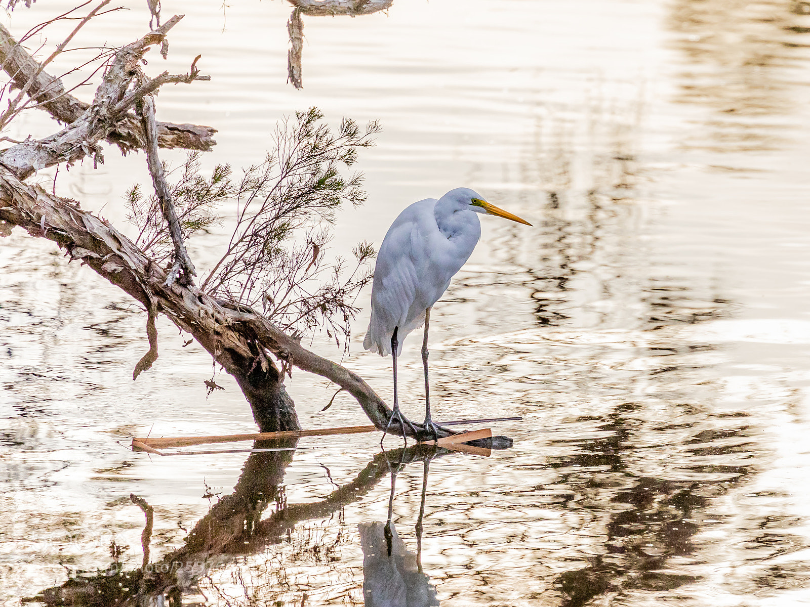 Canon EOS 5D Mark IV sample photo. Fishing photography