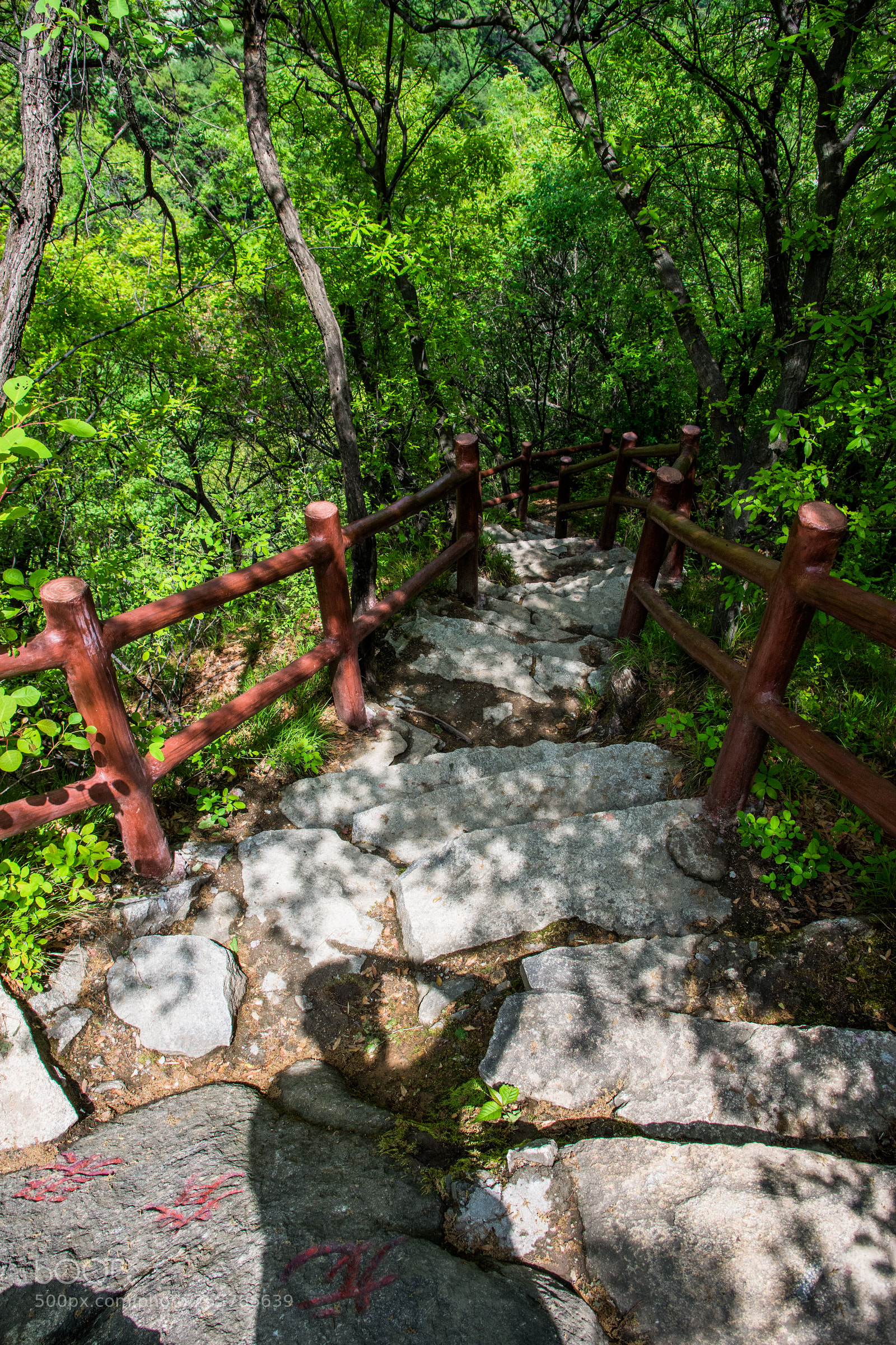 Nikon D7200 sample photo. 秦岭九龙潭登山台阶 photography