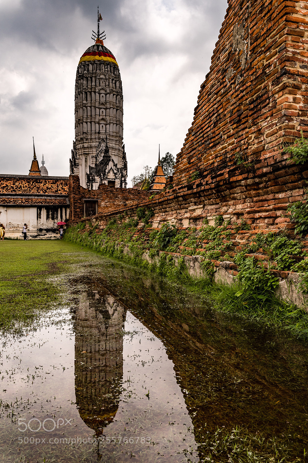 Nikon D500 sample photo. Reflection photography
