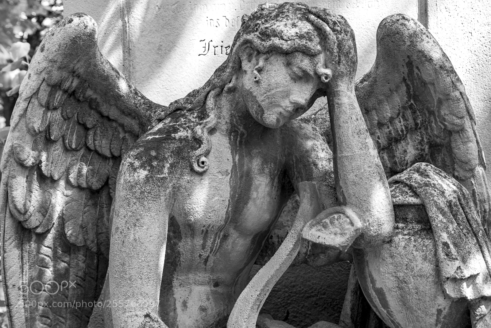 Nikon D5300 sample photo. Engel photography