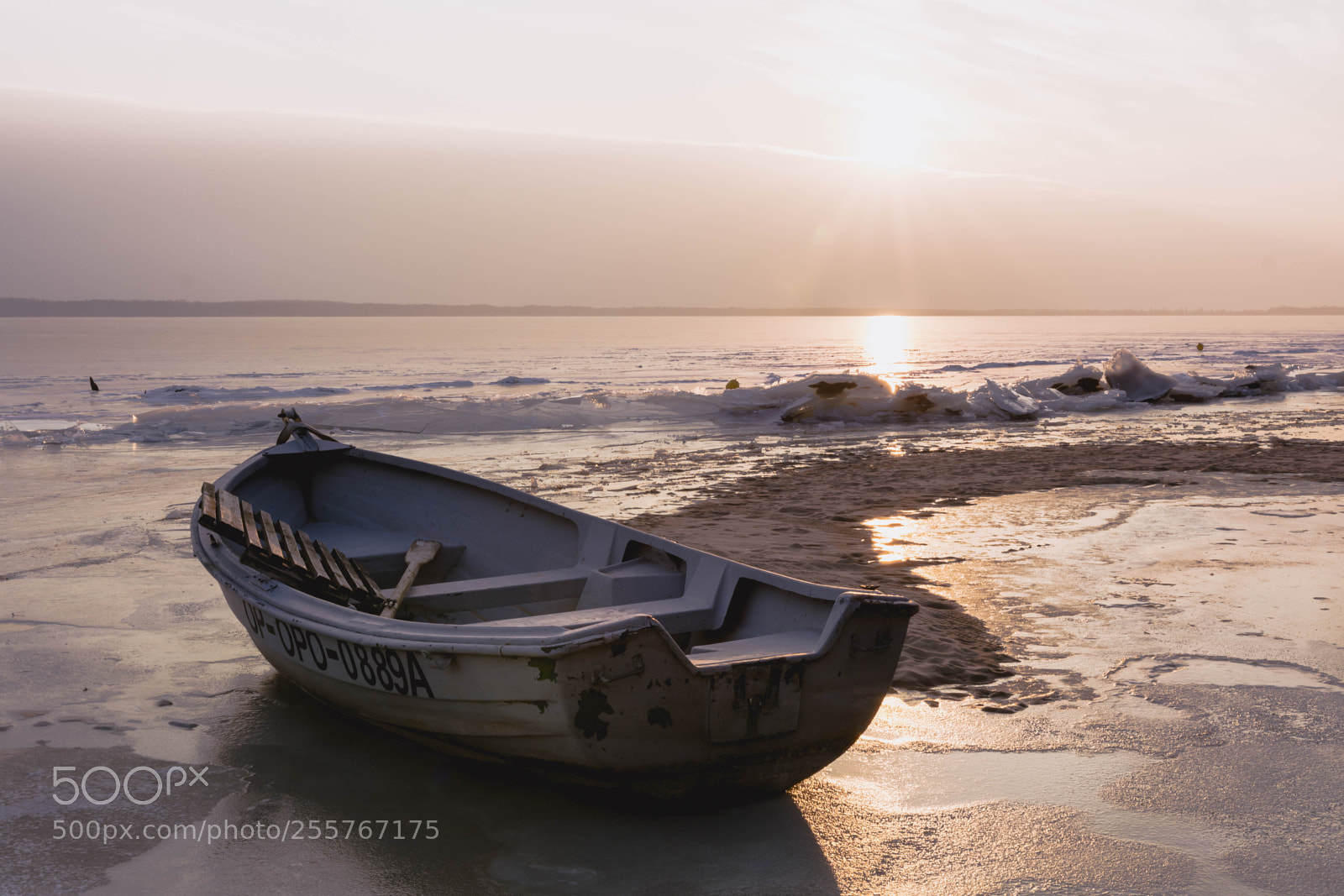Nikon D5200 sample photo. Golden sunset photography
