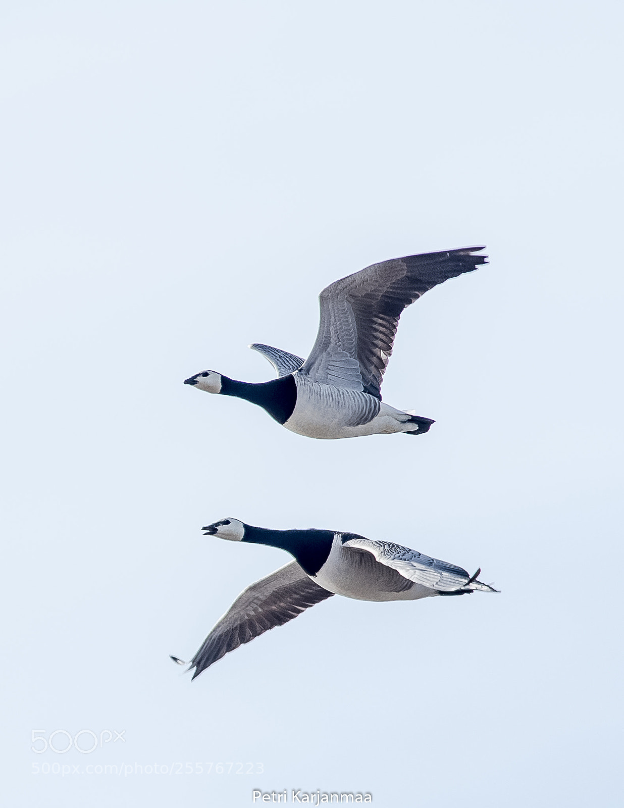 Canon EOS 7D Mark II sample photo. In the air photography
