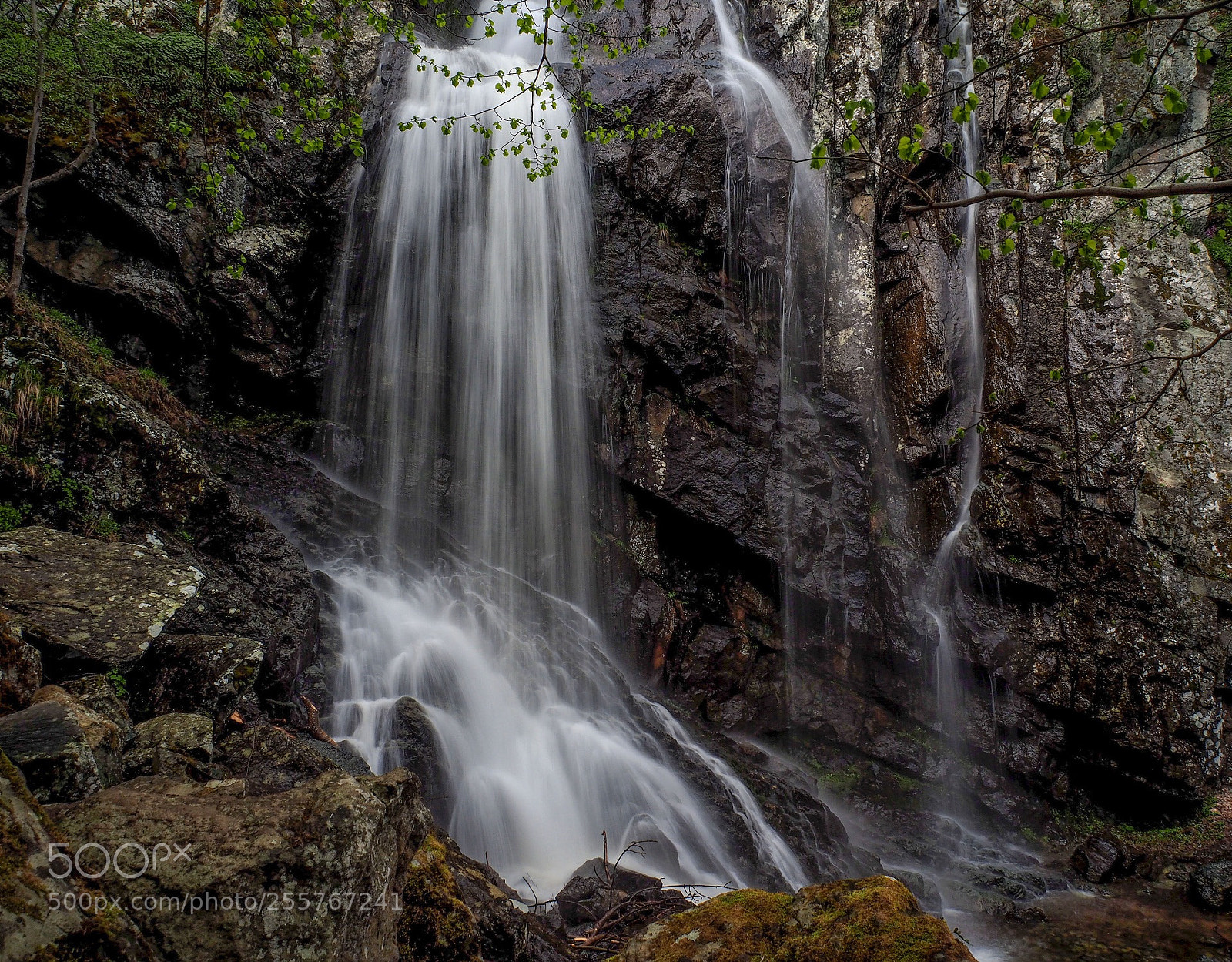 Olympus OM-D E-M10 II sample photo. Boyana waterfall photography