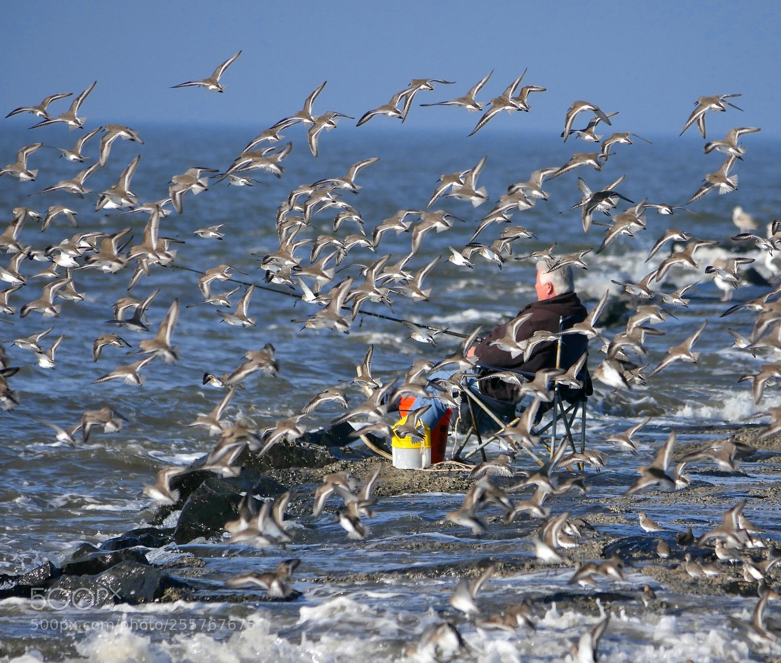Panasonic Lumix DMC-G7 sample photo. Fishing companions photography