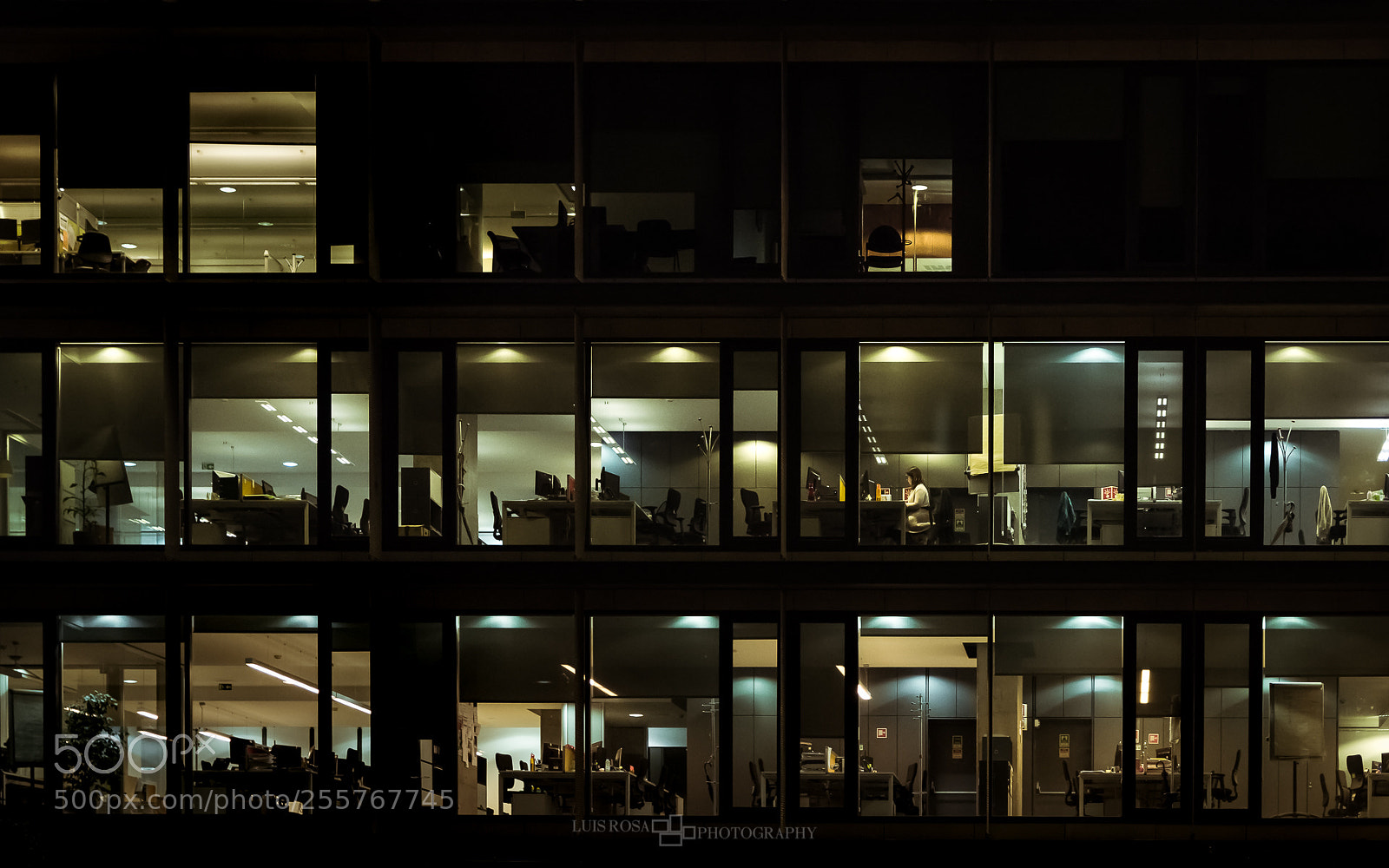 Nikon D7200 sample photo. Working late photography