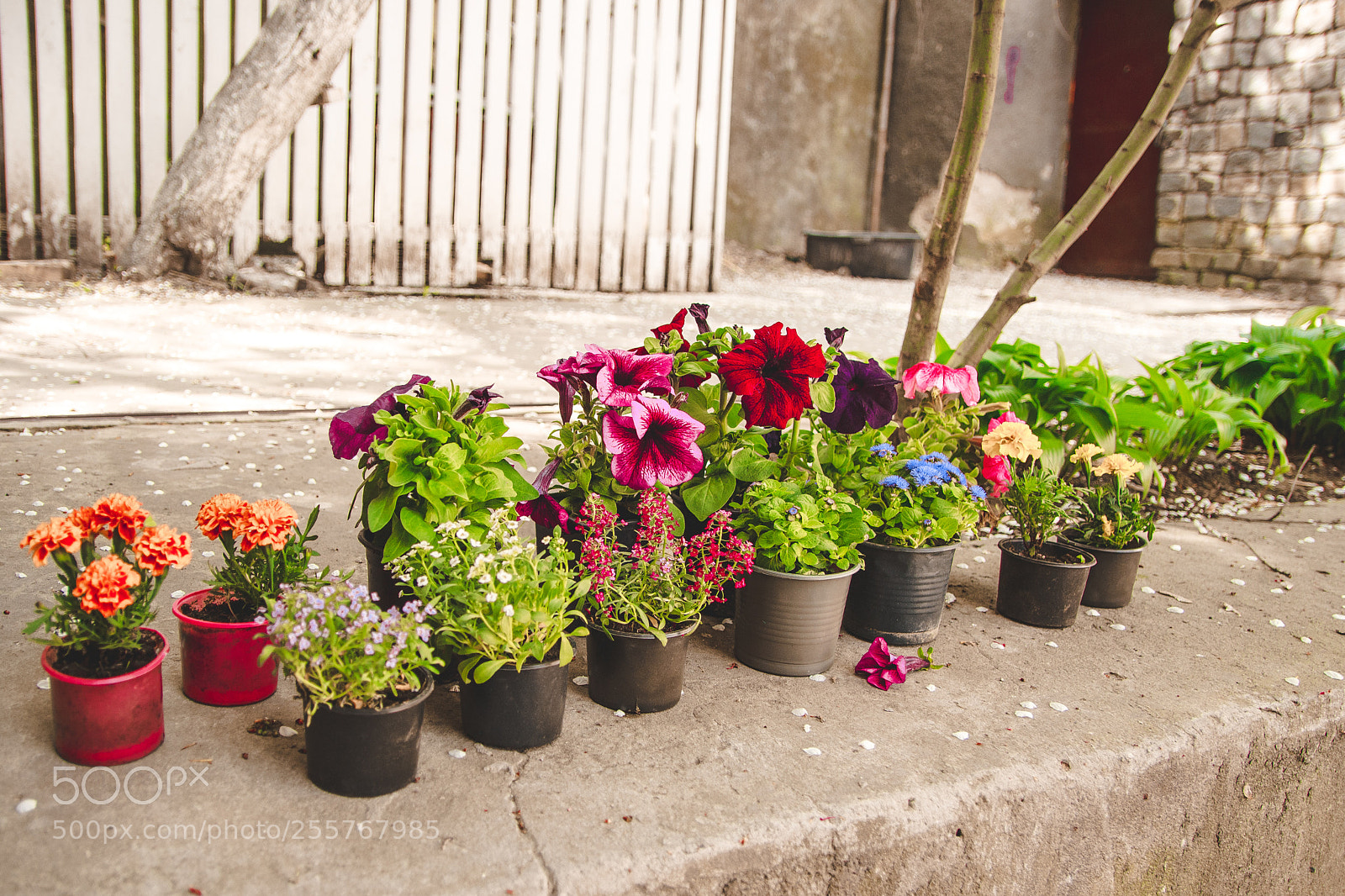 Canon EOS 100D (EOS Rebel SL1 / EOS Kiss X7) sample photo. Flowerpots before planting photography