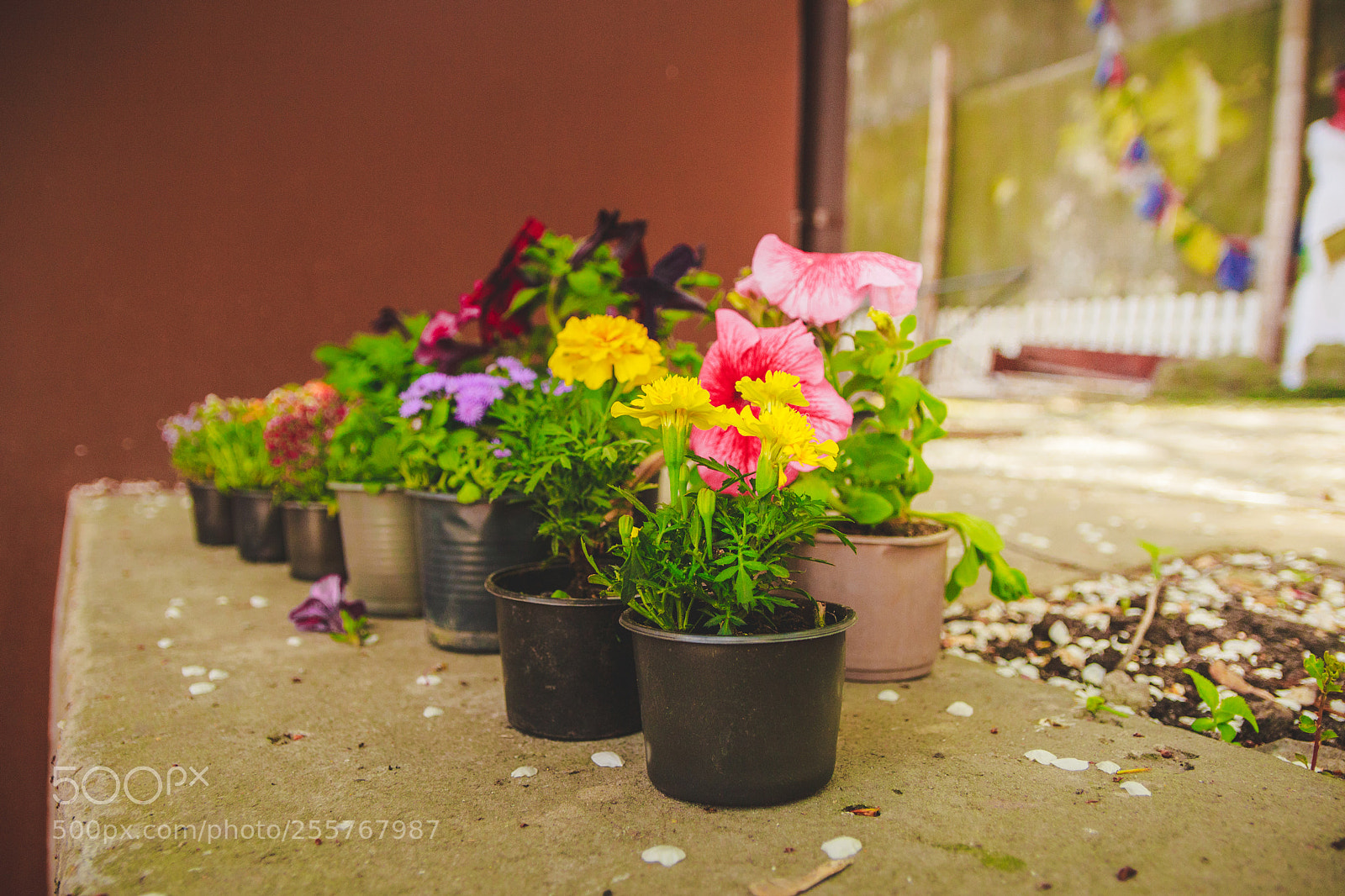 Canon EOS 100D (EOS Rebel SL1 / EOS Kiss X7) sample photo. Flowerpots before planting photography