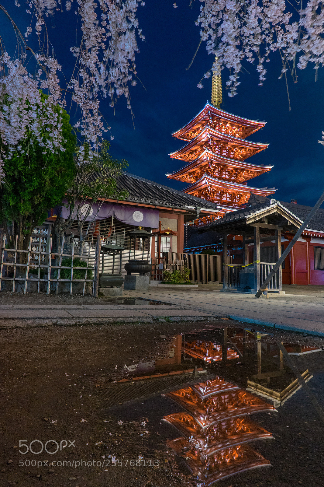 Sony a7 sample photo. Temple night view with photography