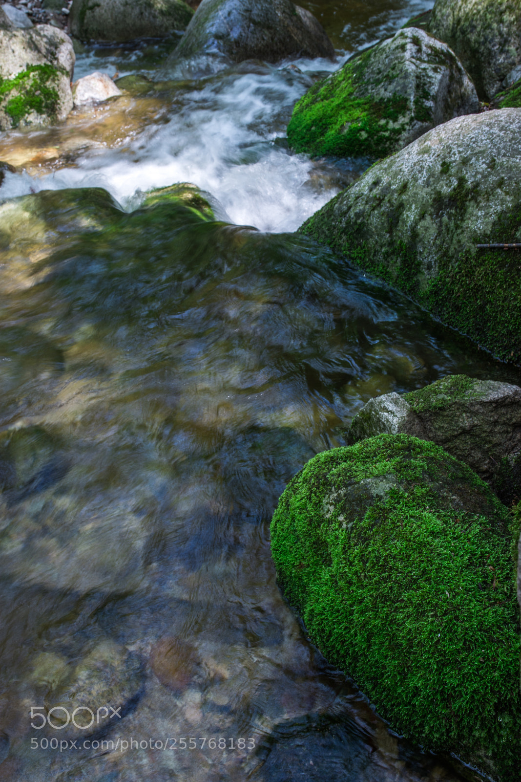 Nikon D7200 sample photo. 秦岭九龙潭流水青苔石 photography