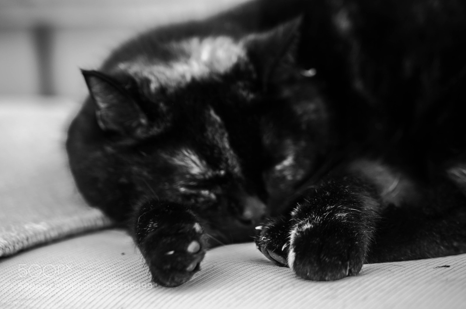 Nikon D90 sample photo. Stella photography