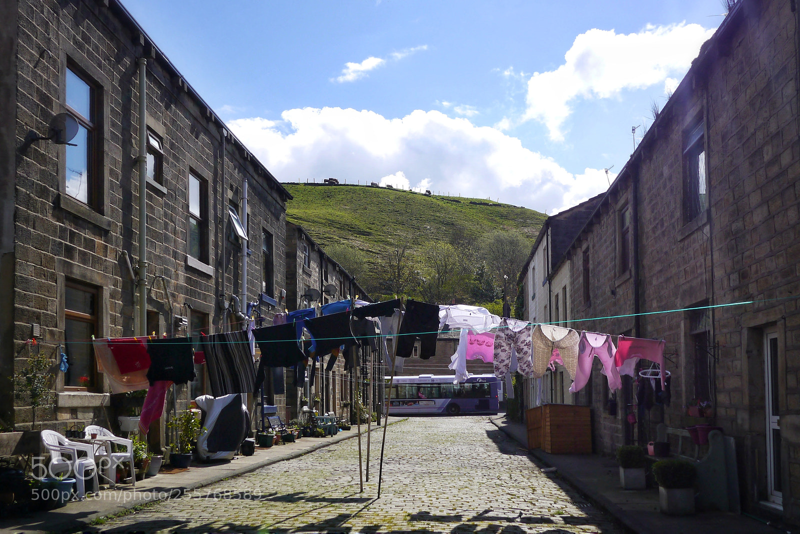 Panasonic Lumix DMC-G3 sample photo. Yorkshire spring photography