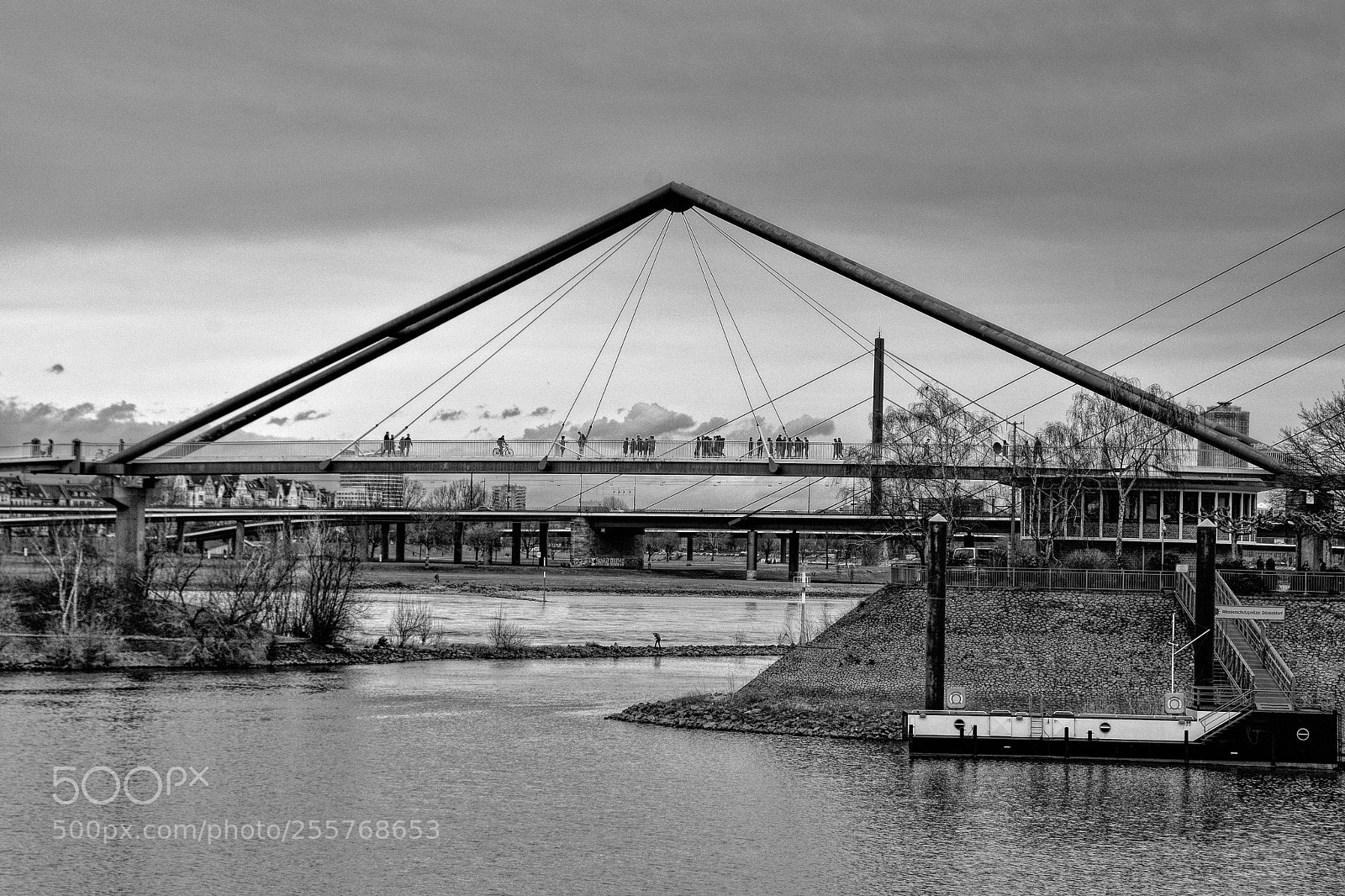 Nikon D7200 sample photo. Bridge photography