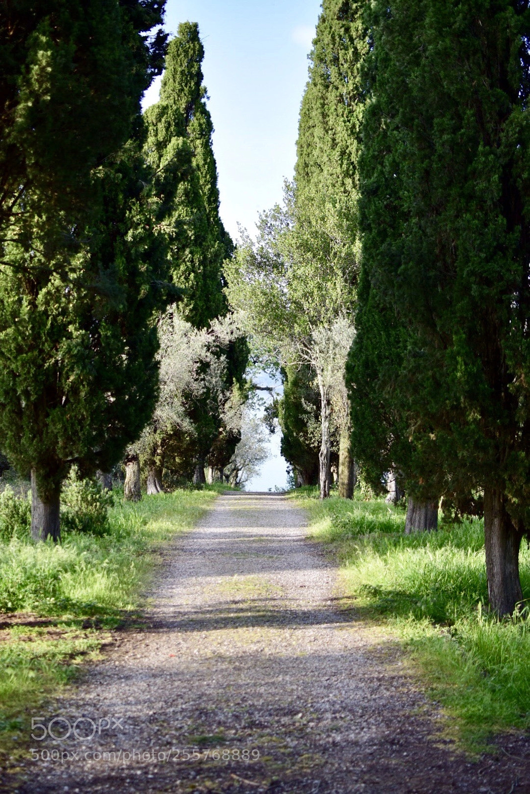 Nikon D5300 sample photo. Toscana photography
