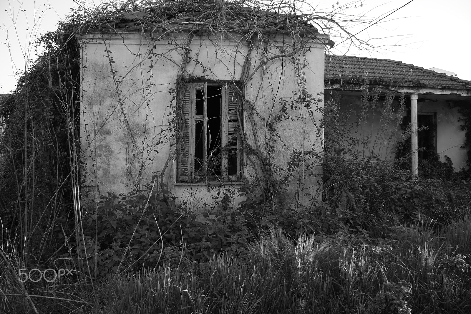Canon EF-S 17-85mm F4-5.6 IS USM sample photo. Abandoned house photography