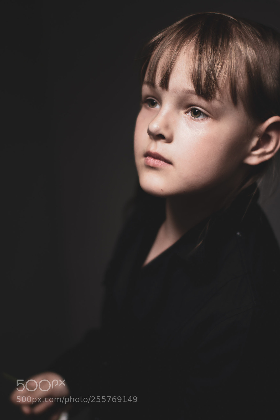Canon EOS 7D Mark II sample photo. Wa photography